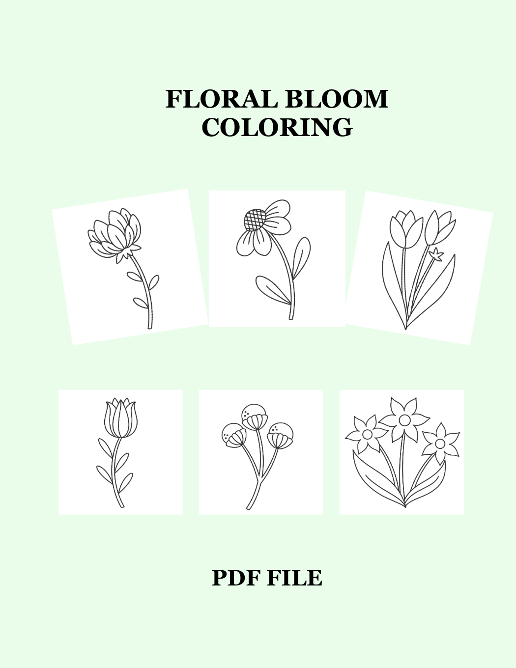 6 Downloadable Floral Bloom Coloring Pages